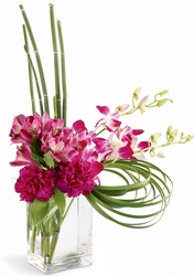 Cosmopolitan Bouquet
